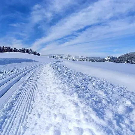 Les Lanfiannes Thorens-Glieres