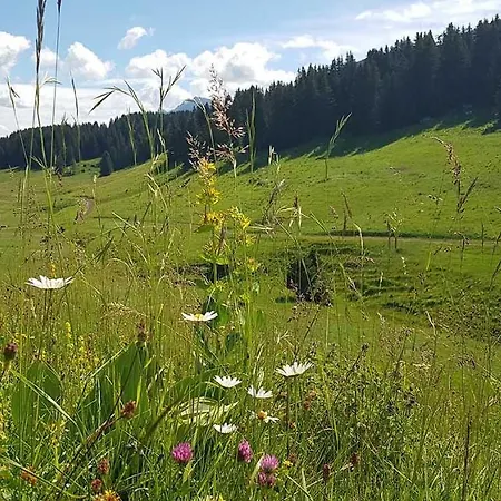 Bed & Breakfast Les Lanfiannes Thorens-Glieres