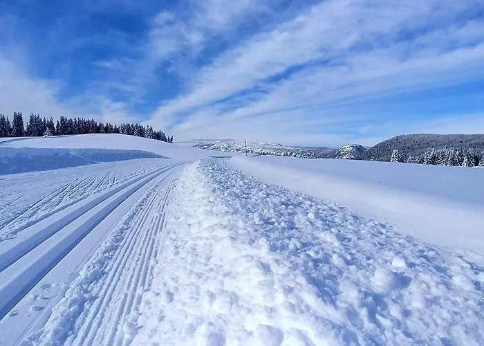 Les Lanfiannes Thorens-Glières