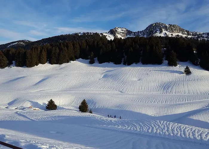 Les Lanfiannes * Thorens-Glières