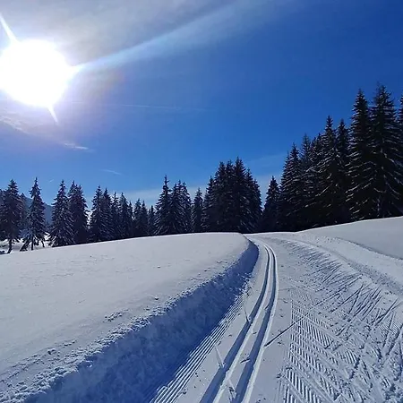 Les Lanfiannes Thorens-Glières