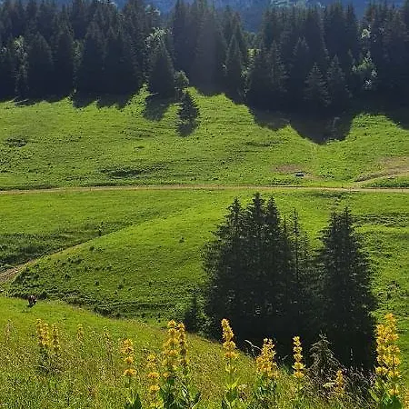 Les Lanfiannes * Thorens-Glières